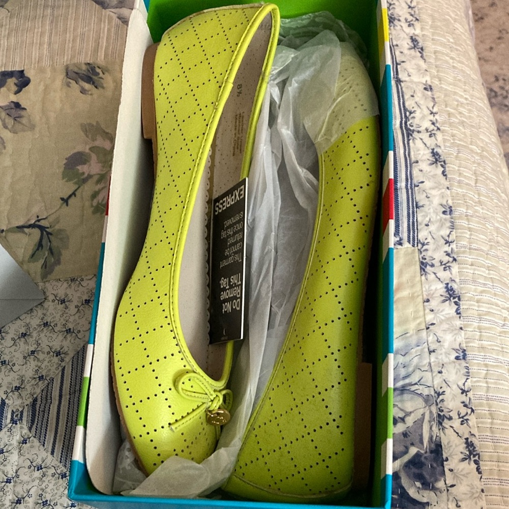 Express Women's Yellow Ballet Flats
